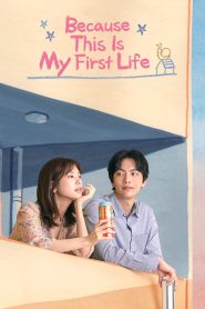 Because This Is My First Life (2017)